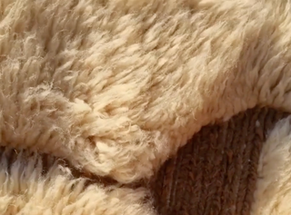 YASMIN | WOOL RUG CARPET | WOOL | HANDMADE